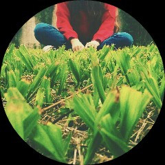 Picsart profile picture for @cemeteries